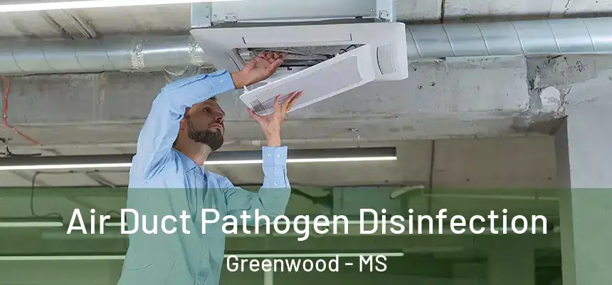  Air Duct Pathogen Disinfection Greenwood - MS