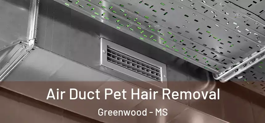  Air Duct Pet Hair Removal Greenwood - MS