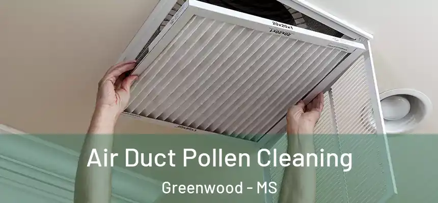  Air Duct Pollen Cleaning Greenwood - MS
