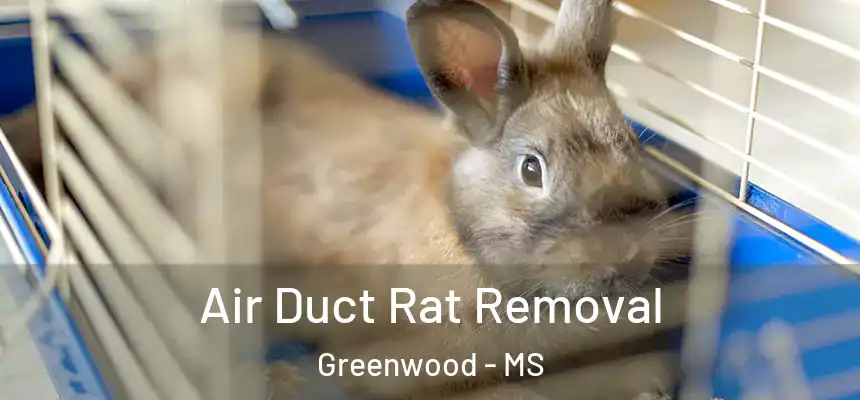  Air Duct Rat Removal Greenwood - MS