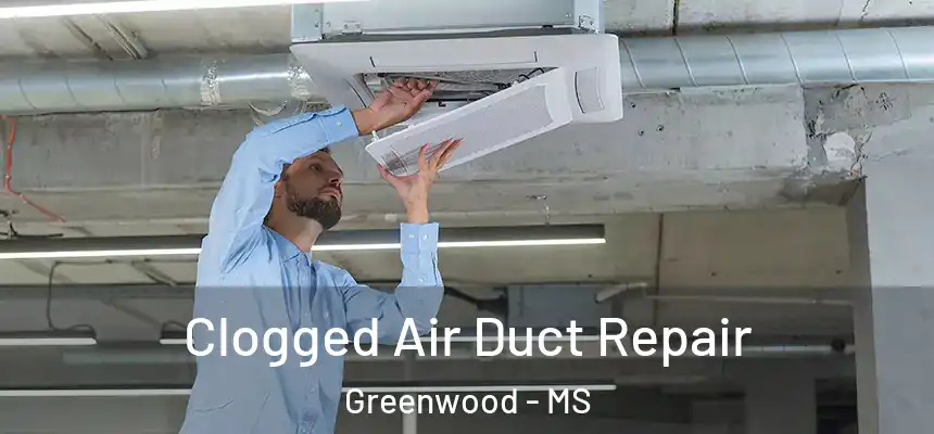  Clogged Air Duct Repair Greenwood - MS