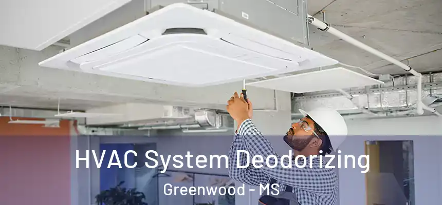  HVAC System Deodorizing Greenwood - MS