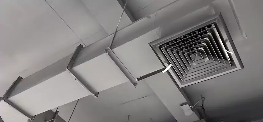 Our Pest Removal From Ducts Services in Greenwood, MS