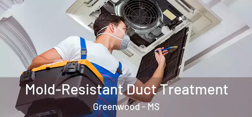  Mold-Resistant Duct Treatment Greenwood - MS
