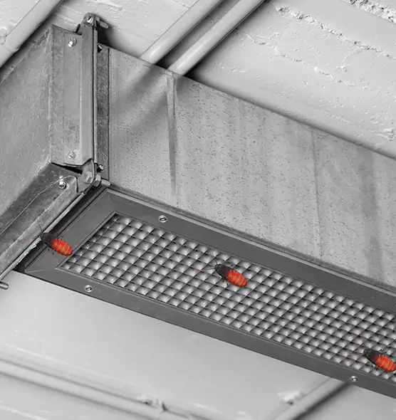 About Air Duct Cockroach Removal in Greenwood, MS