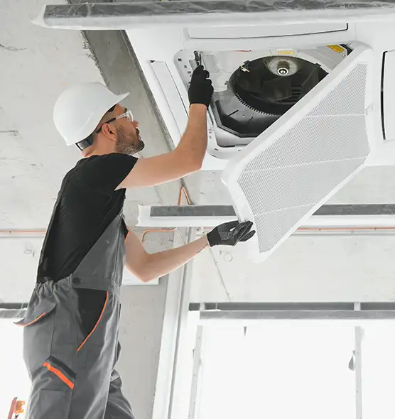 About Air Duct Rodent Removal in Greenwood, MS