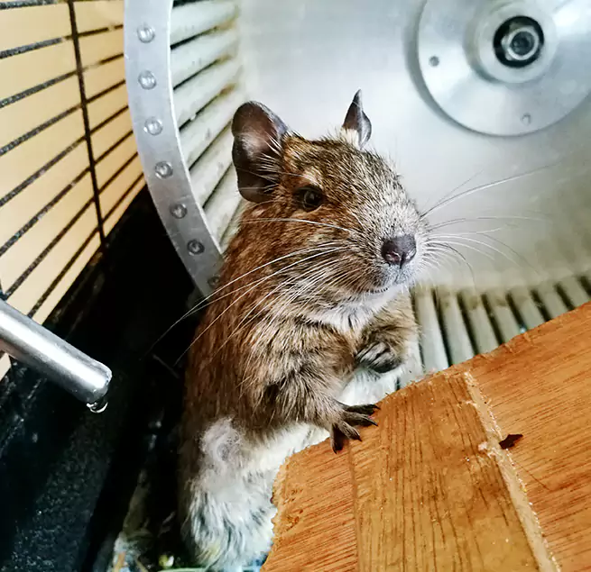 Why Homeowners & Businesses Trust Us Greenwood, MS