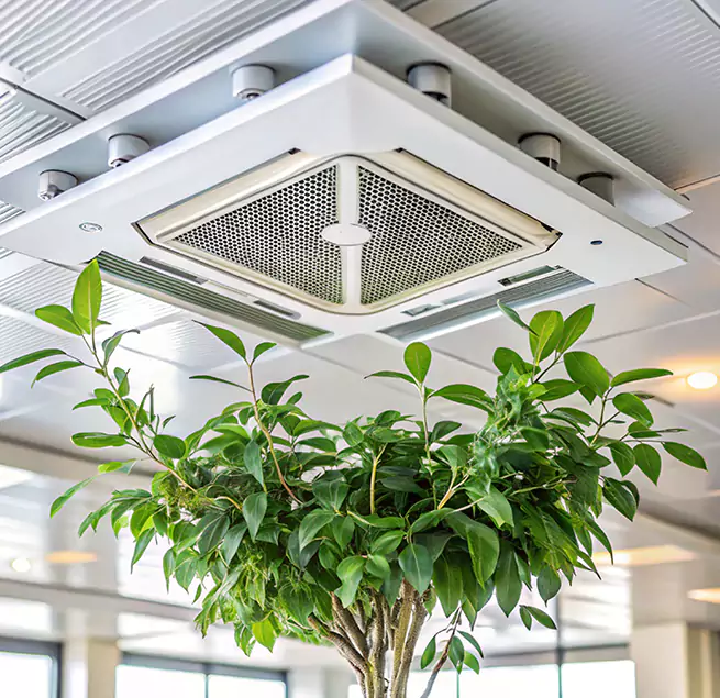 Why Homeowners & Businesses Trust Us in Greenwood, MS