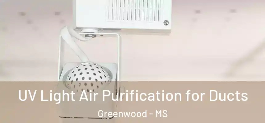  UV Light Air Purification for Ducts Greenwood - MS